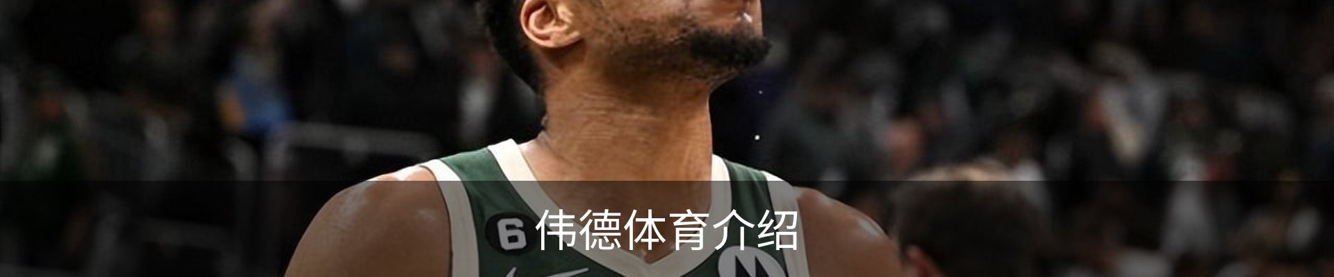 伟德体育介绍